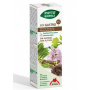 MIX 15 DIN PLANTE, GASTRO, DIGESTIE, 50 ML - Phyto-Biopole