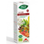 MIX CIR 21 DIN PLANTE, CIRCULATIE SANGUINA, 50 - ML Phyto-Biopole
