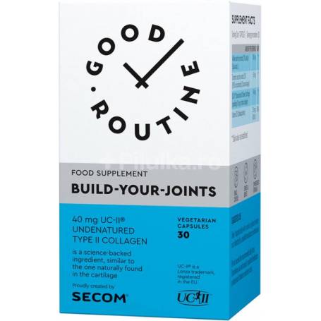Build-Your-Joints - 30cps, Good Routine, Secom