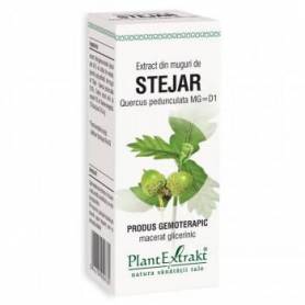 STEJAR - muguri - gemoderivat  - 50ml - PlantExtrakt