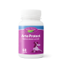 Arto Protect 60 Capsule  - Indian Herbal