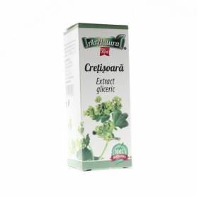 Extract Gliceric Cretisoara 50ml - Ad Natura