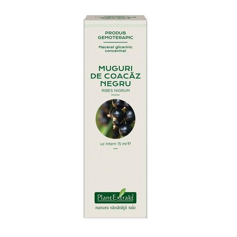 Coacaz Negru concentrat - muguri - gemoderivat - 15 ml - PlantExtrakt