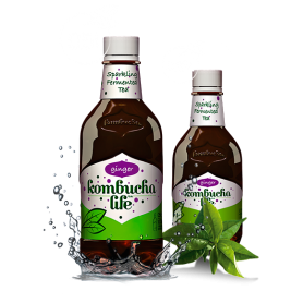 KOMBUCHA LIFE Cu Ghimbir 500ml