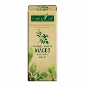 MACES - mladite - gemoderivat - 50ml - PlantExtrakt