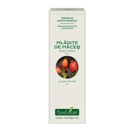 MACES - mladite concentrat - gemoderivat - 15ml - PlantExtrakt