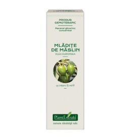 MASLIN - mladite concentrat - gemoderivat - 15ml - PlantExtrakt