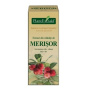 MERISOR - mladite - gemoderivat - 50ml - PlantExtrakt