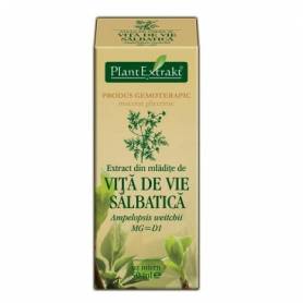 VITA DE VIE SALBATICA - mladite - gemoderivat - 50ml - PlantExtrakt