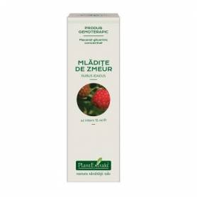 ZMEUR - mladite concentrat - gemoderivat - 15ml - PlantExtrakt