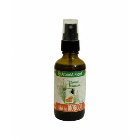 Ulei de morcov 50ml  - Arboria Plant