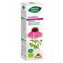 Extract BIO de echinacea, 50 ml - Phyto-Biopole
