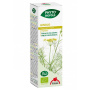 Extract BIO de fenicul, 50 ml - Phyto-Biopole