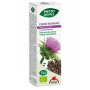 Extract BIO de armurariu, 50 ml - Phyto-Biopole