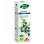 Extract BIO de afine, 50 ml - Phyto-Biopole