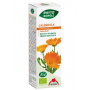Extract BIO de galbenele, 50 ml - Phyto-Biopole