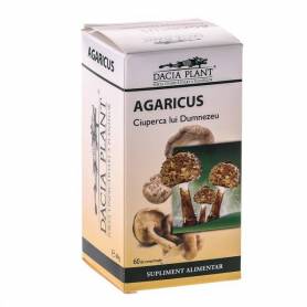 Agaricus 60cps - Dacia Plant