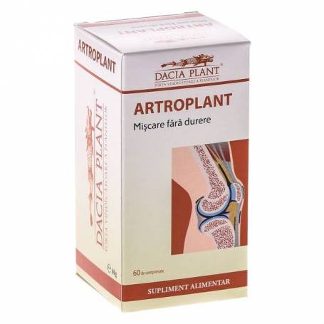 Artroplant 60cps - Dacia Plant