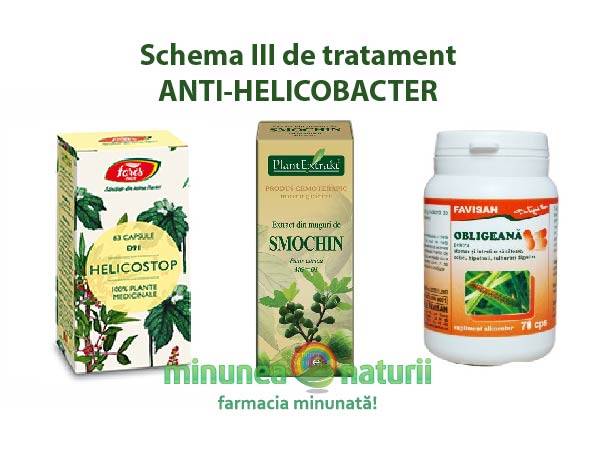 Schema iii anti-helicobacter