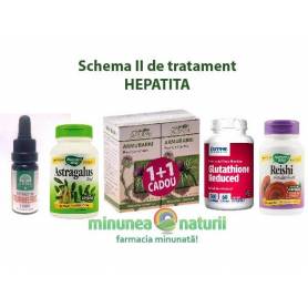 Schema II de tratament HEPATITA