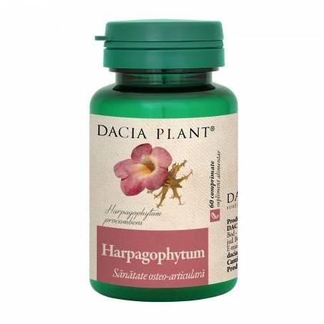 Harpagophytum 60cps - Dacia Plant