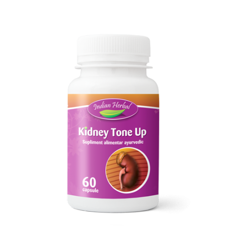 KIDNEY TONE UP, 60 CAPSULE - Indian Herbal