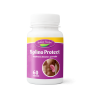 SPLINO PROTECT, 60 CAPSULE - Indian Herbal