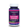 CICOARE EXTRACT, 30 capsule,  Herbagetica
