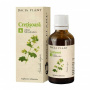 Tinctura Cretisoara 50ml - Dacia Plant