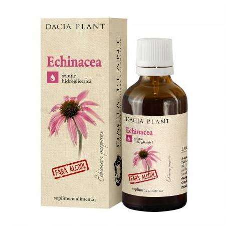 Tinctura Echinacea 50ml - Dacia Plant