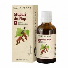 Tinctura Muguri de Plop 50ml - Dacia Plant