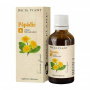 Tinctura de Papadie 50ml - Dacia Plant
