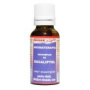 FAVICOMPLEX EUCALIPT, 20ml - Favisan