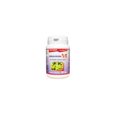 GINKGO BILOBA, 40cps - Favisan