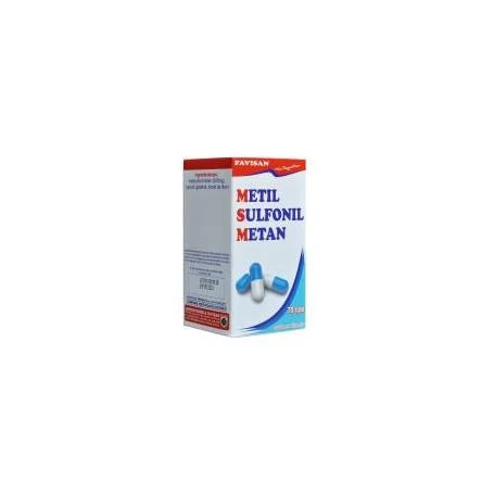 METIL SULFONIL METAN, 70cps - Favisan