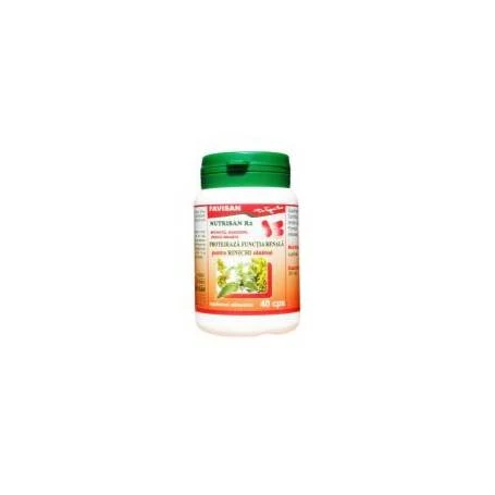 Nutrisan R2 Splinuta, Sanziene si Urzica, 40cps - Favisan