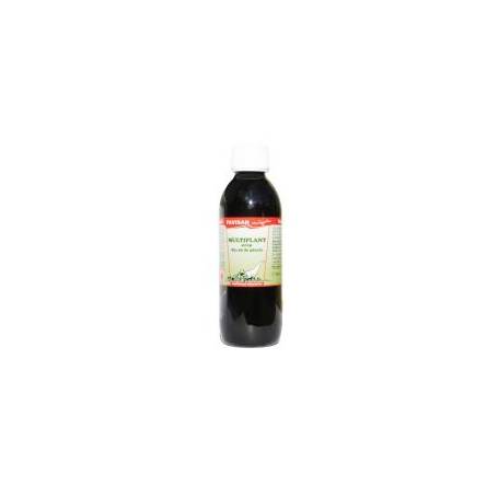 SIROP MULTIPLANT, 250ml - Favisan