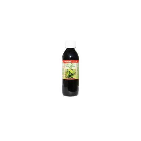 SIROP PATLAGINA, 250ml - Favisan