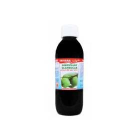 FORTIFIANT GLANDULAR EXTRACT DIN NUCI VERZI, 250ml - Favisan