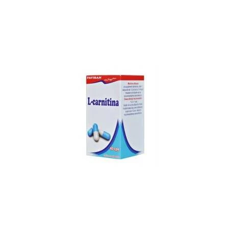 L-CARNITINA, 40cps - Favisan