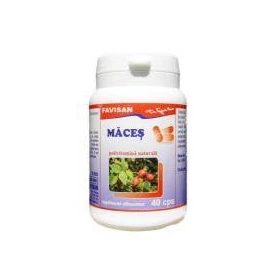 MACES, 40cps - Favisan