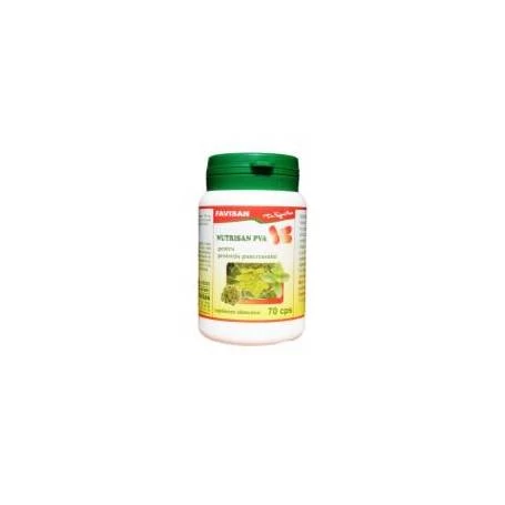 NUTRISAN PVA, 70 cps - Favisan