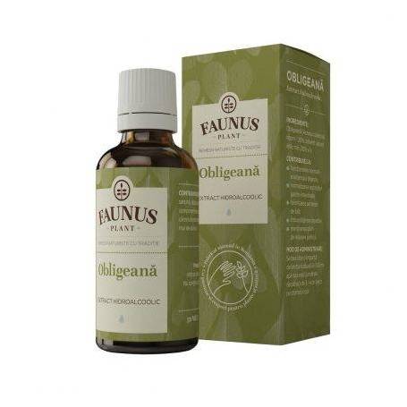 Tinctura Obligeana 50ml - Faunus Plant