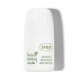 Deodorant Roll-on Olive leaf fara saruri de aluminiu, 60ml - Ziaja