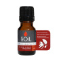 Ulei Esential Ylang ylang, SOiL, 10ml - Organic India