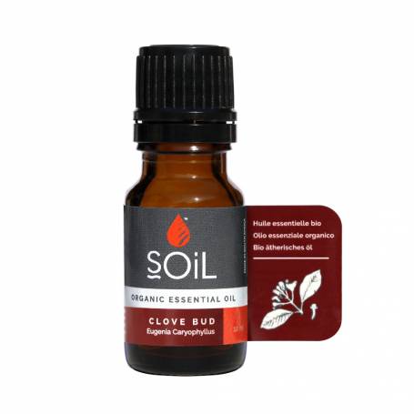 Ulei Esential Cuisoare, SOiL, 10ml - Organic India