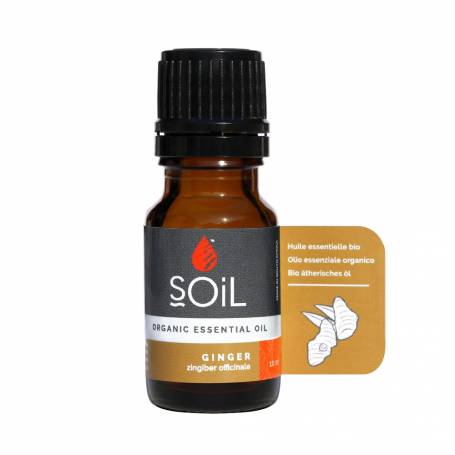 Ulei Esential Ghimbir, 10ml - SOiL