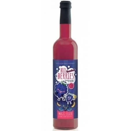 Elixir Magic pentru copii, concentrat cu mure, eco-bio, 500ml - Retter