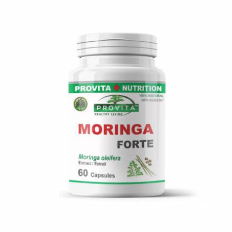 Moringa forte, 60cps - Provita - Organika