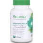 Atlantic Kelp, 90cps - Organika